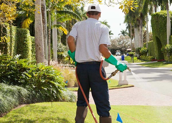 About Albany OR Pest Control Pros